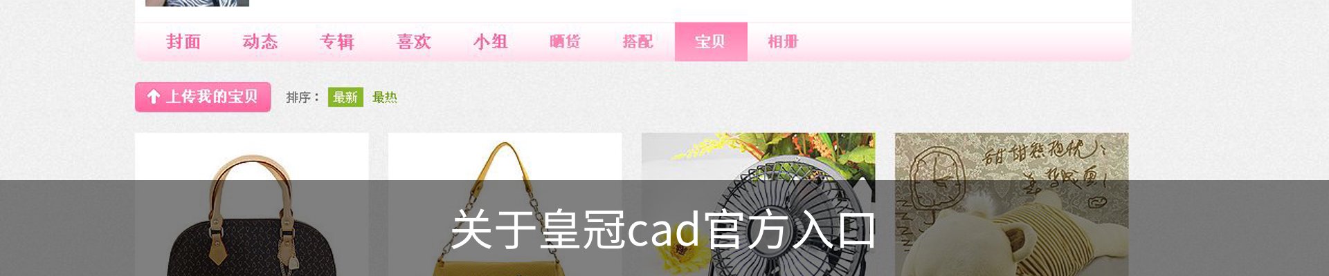 关于皇冠cad官方入口